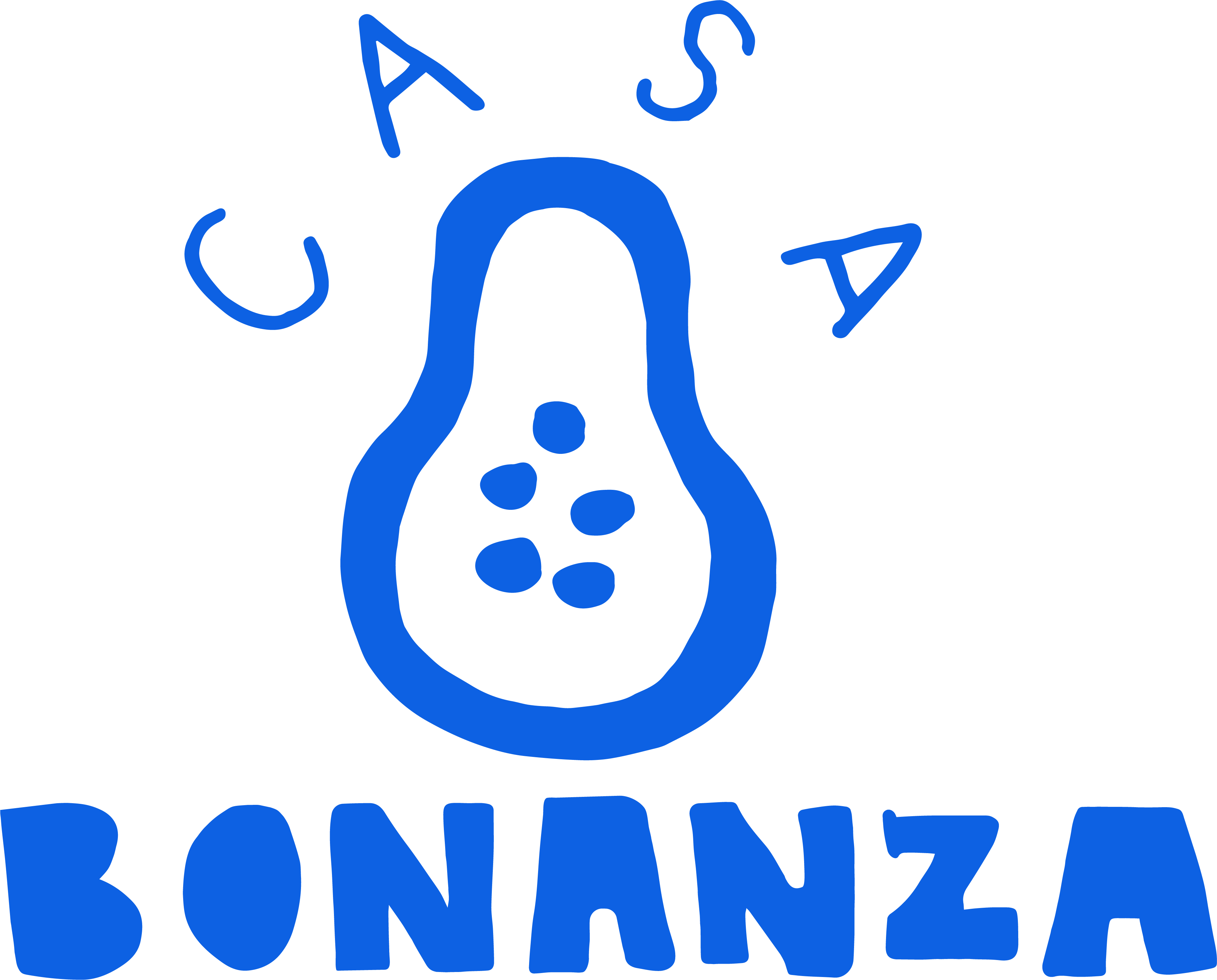 casa_bonanza